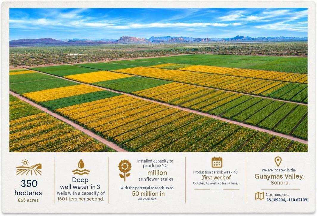 Vista aérea y ficha corporativa de AGRISON