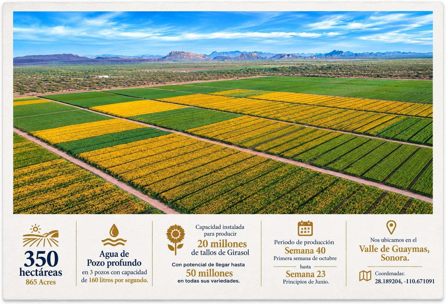 Vista aérea y ficha corporativa de AGRISON