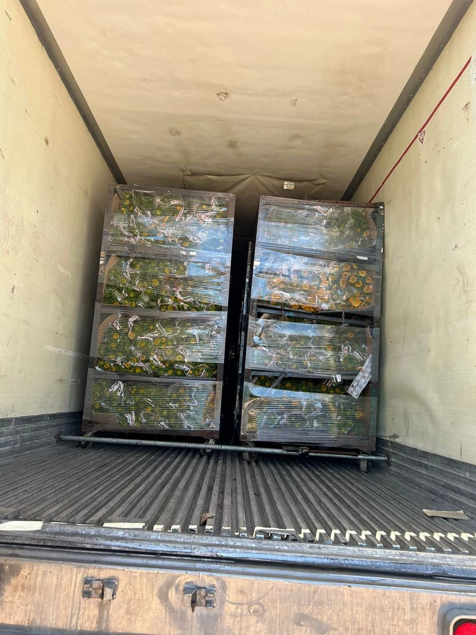 Flores embaladas en transporte